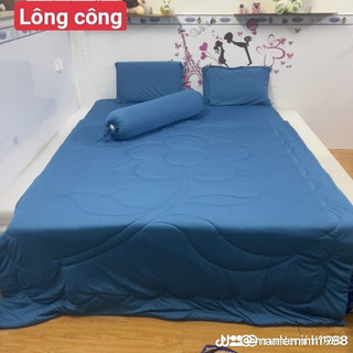 Bộ ga gối trơn thun hàn quốc, ga gối thun lạnh 4 món, drap trải giường đủ size 1m4 - 1m6 - 1m8 - 2m2