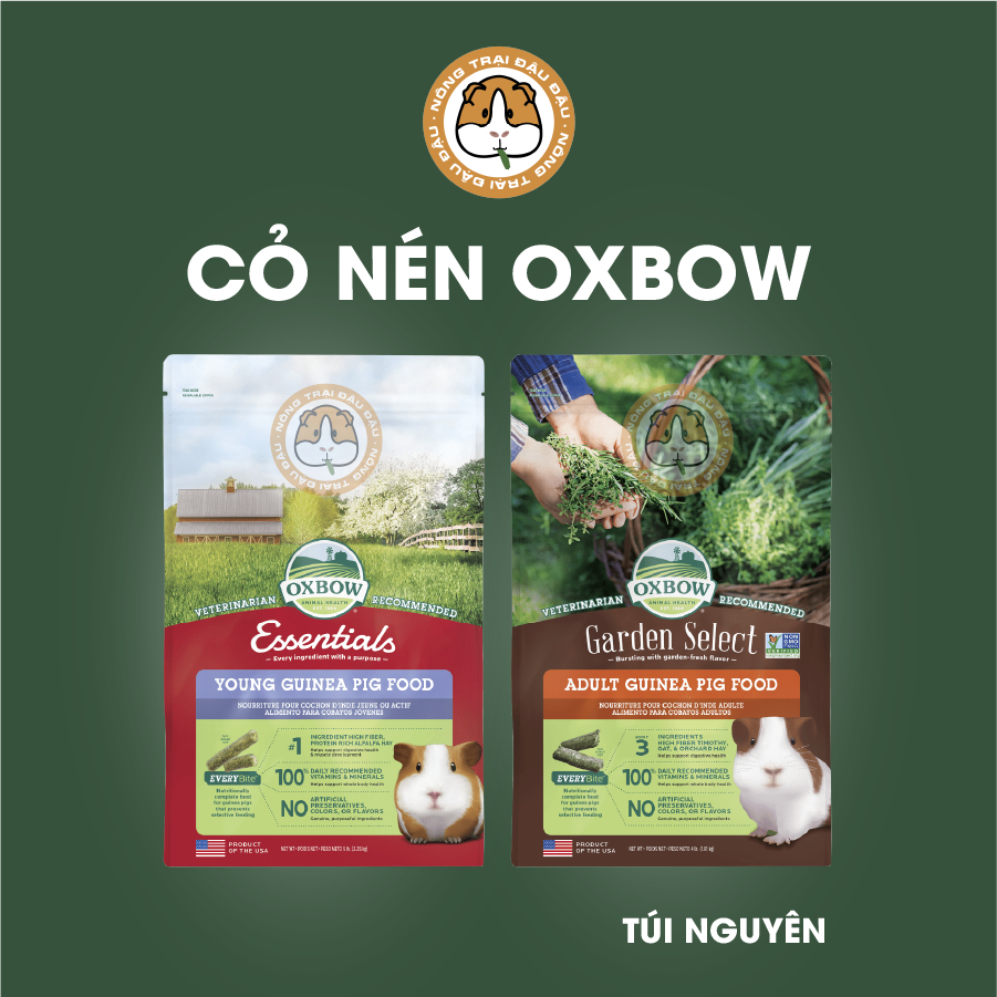 Cỏ Nén Oxbow Cho Bọ Ú Chuột Lang Túi Nguyên Hãng 2.25kg