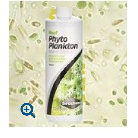 Thức ăn thực vật phù du cho san hô Reef Phytoplankton Seachem Mỹ