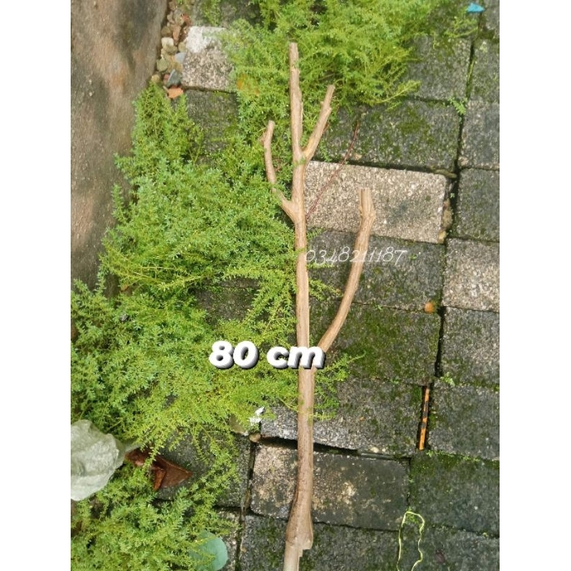 Gốc Cây Giả, Thân Cây Giả - cao 80- 120 cm- Làm cây giả. trang trí nhà cửa.