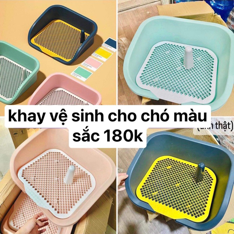 Khay vệ sinh cho chó có thành (Gửi Màu Ngẫu Nhiên)