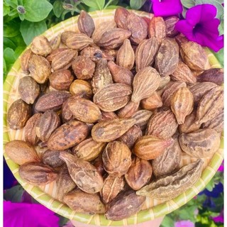 1 kg quả kha tử