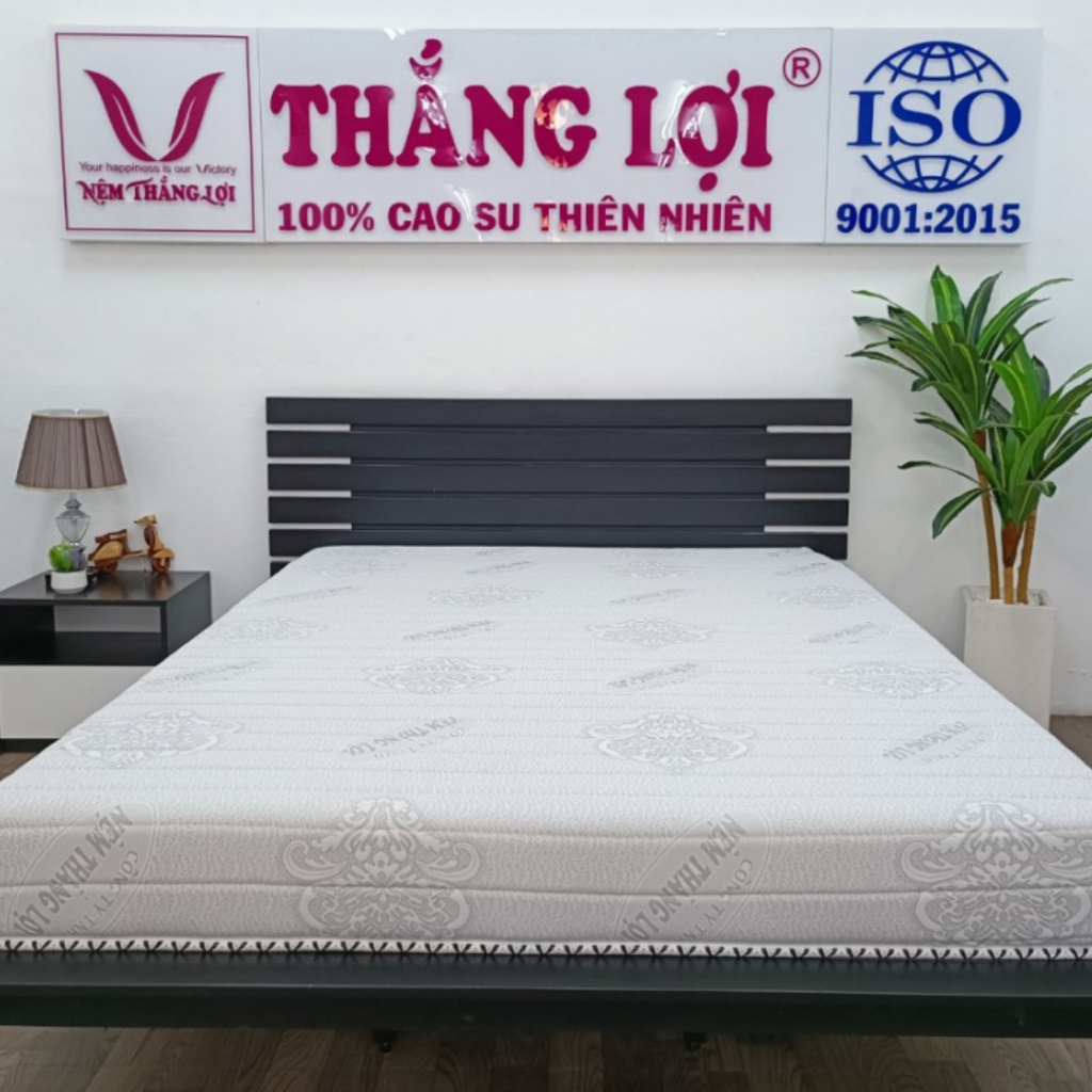 (BH 15 năm, free ship)Nệm MEMORY FOAM THẮNG LỢI đủ size chính hãng Nệm Thắng Lợi