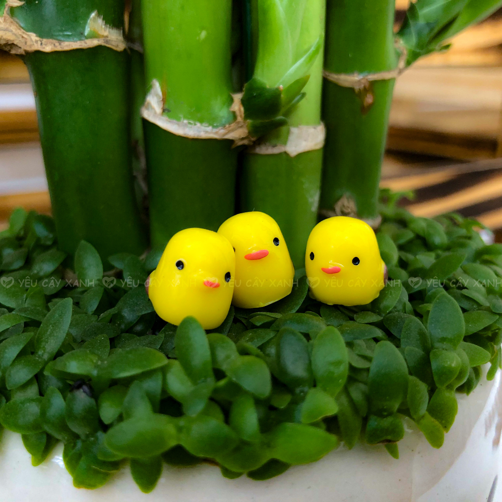 Phụ Kiện Gà Con Trang Trí Mô Hình, Tiểu Cảnh Terrarium, Đồ handmade