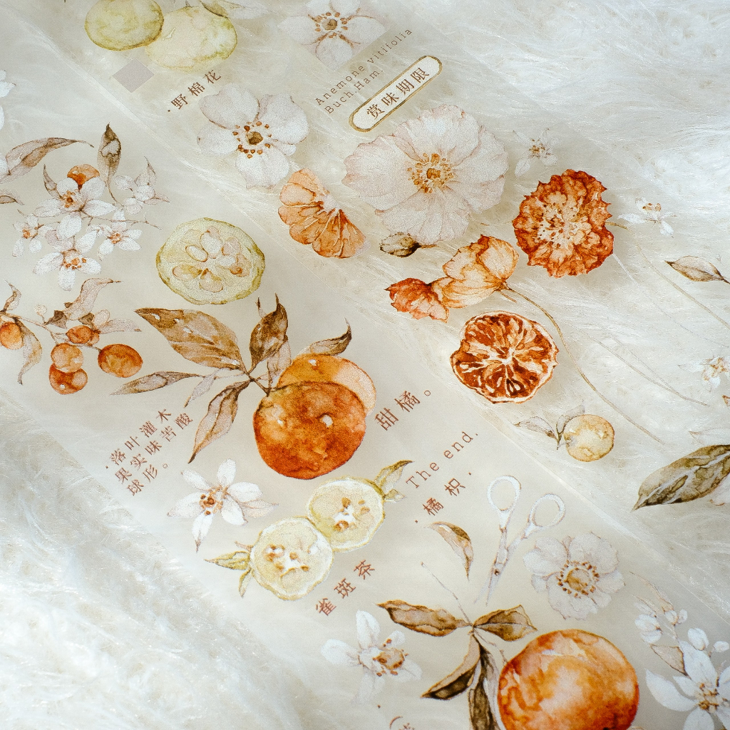 Meohime 𓃠 Hãng Freckles Tea - Băng dán PET tape trái cam Vol 3