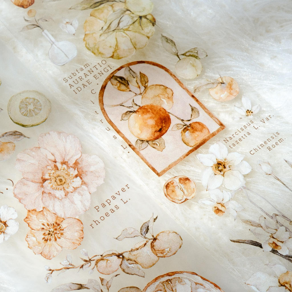 Meohime 𓃠 Hãng Freckles Tea - Băng dán PET tape trái cam Vol 3