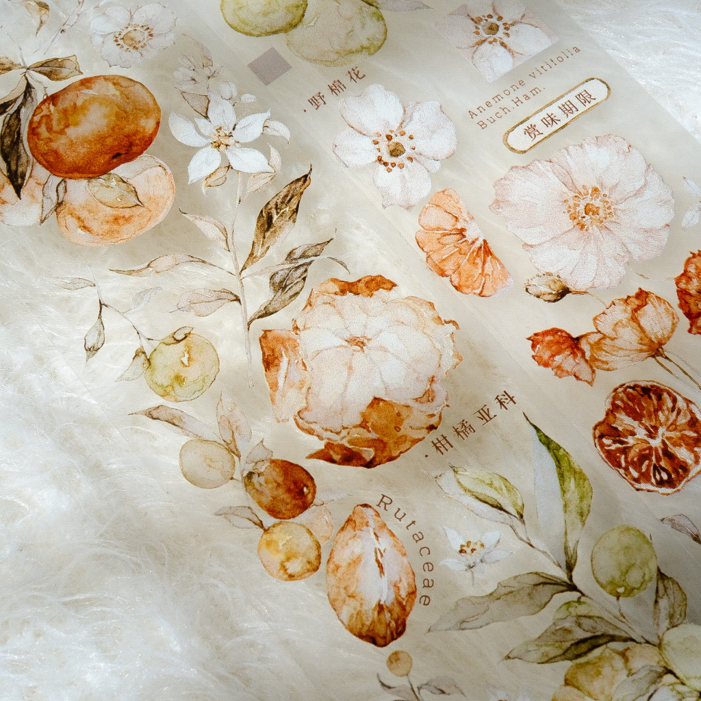 Meohime 𓃠 Hãng Freckles Tea - Băng dán PET tape trái cam Vol 3