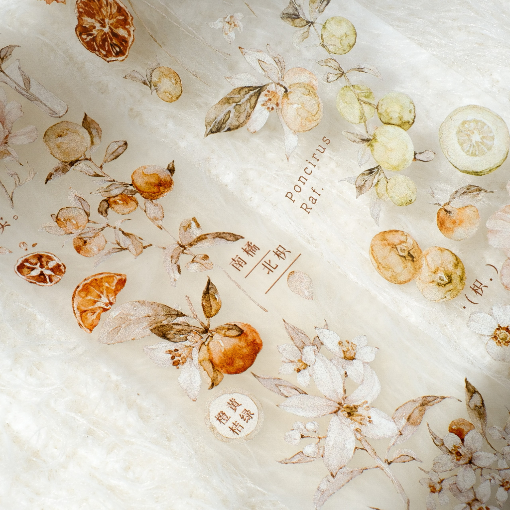 Meohime 𓃠 Hãng Freckles Tea - Băng dán PET tape trái cam Vol 3