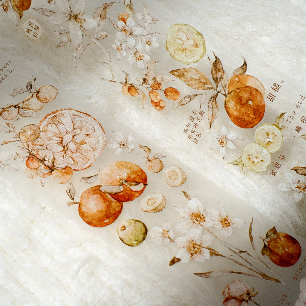 Meohime 𓃠 Hãng Freckles Tea - Băng dán PET tape trái cam Vol 3