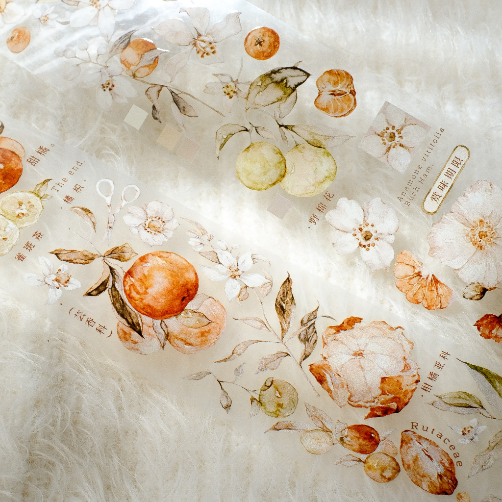 Meohime 𓃠 Hãng Freckles Tea - Băng dán PET tape trái cam Vol 3