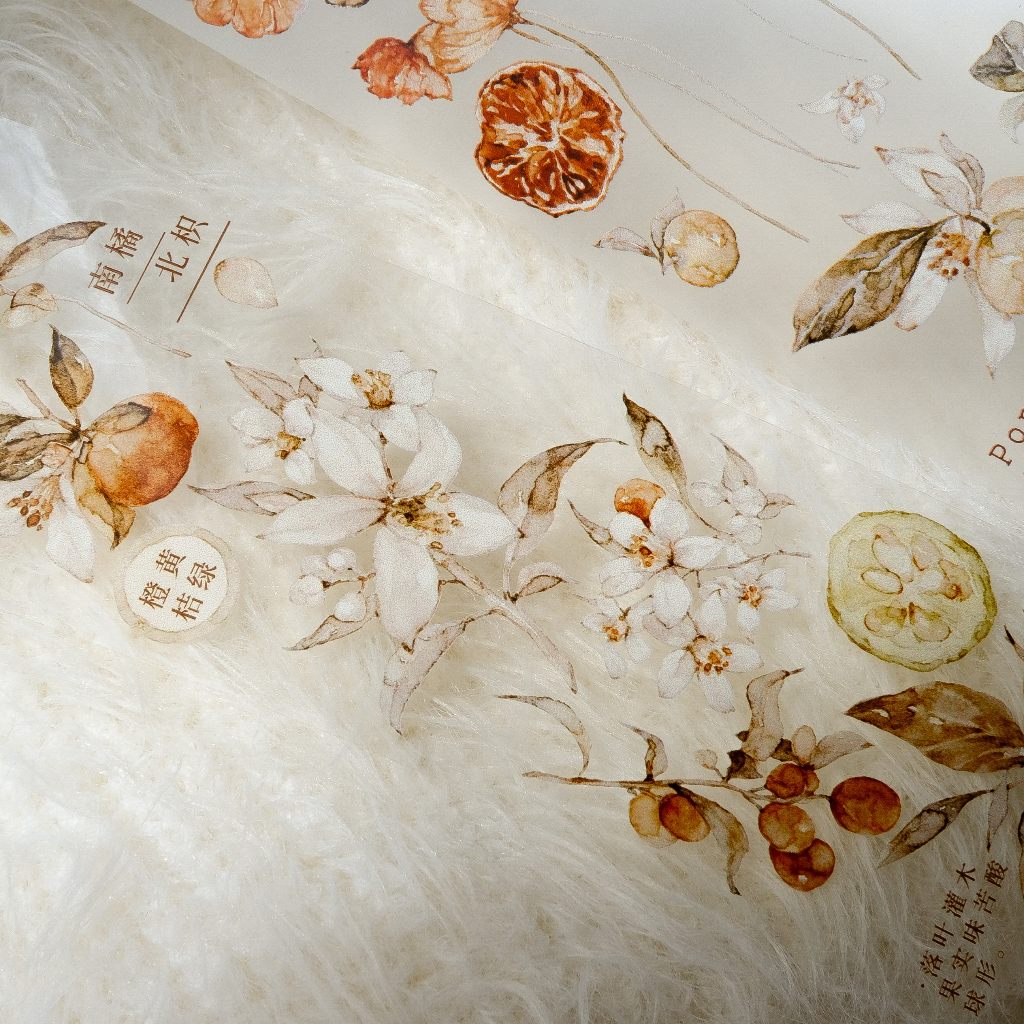 Meohime 𓃠 Hãng Freckles Tea - Băng dán PET tape trái cam Vol 3