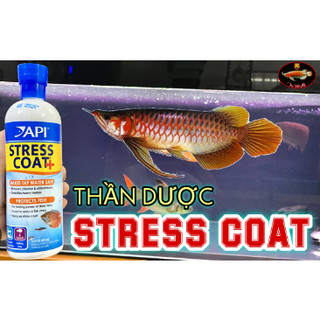 STRESS COAT +  Dung dịch giãm stress KHỬ CLORINE VÀ KIM LOẠI NẶNG cho bể cá cảnh API Mỹ