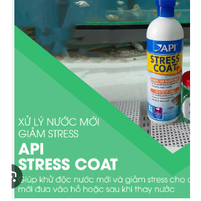 STRESS COAT +  Dung dịch giãm stress KHỬ CLORINE VÀ KIM LOẠI NẶNG cho bể cá cảnh API Mỹ