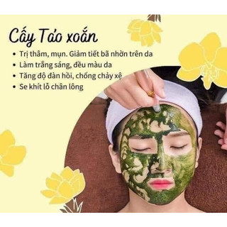 Tảo cấy Sato - Dạng bột - Hũ 100g