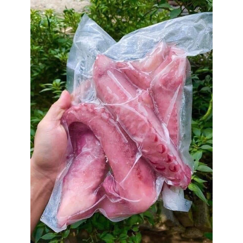 Râu Bạch Tuộc Khổng Lồ 1KG (Ship Đà Nẵng)
