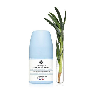 (2026 xã kho) Lăn khử mùi - FRESH DEODORANT 50ML (edulis)