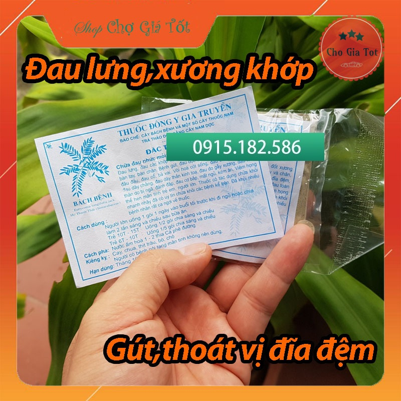 Đông y gia truyền cây bách bệnh Hòa Bình đau nhức xương khớp gút thoái hóa thoát vị