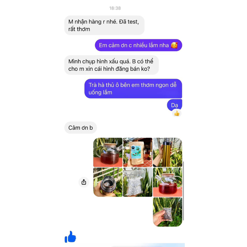 Trà hà thủ ô túi lọc