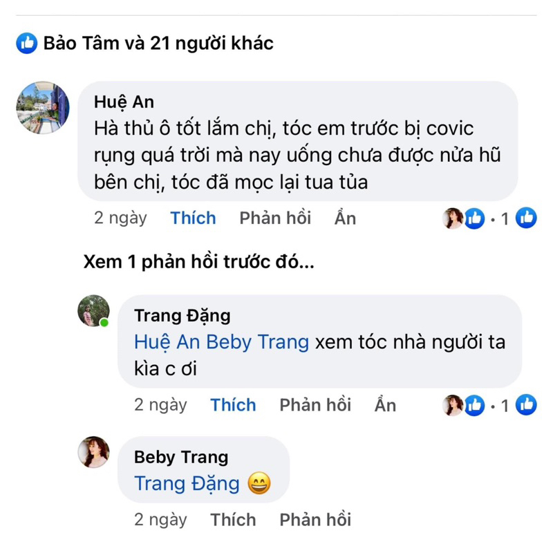 Trà hà thủ ô túi lọc