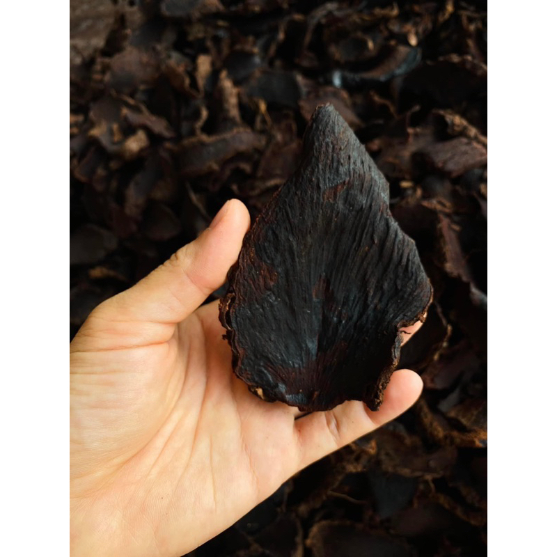 Trà hà thủ ô túi lọc