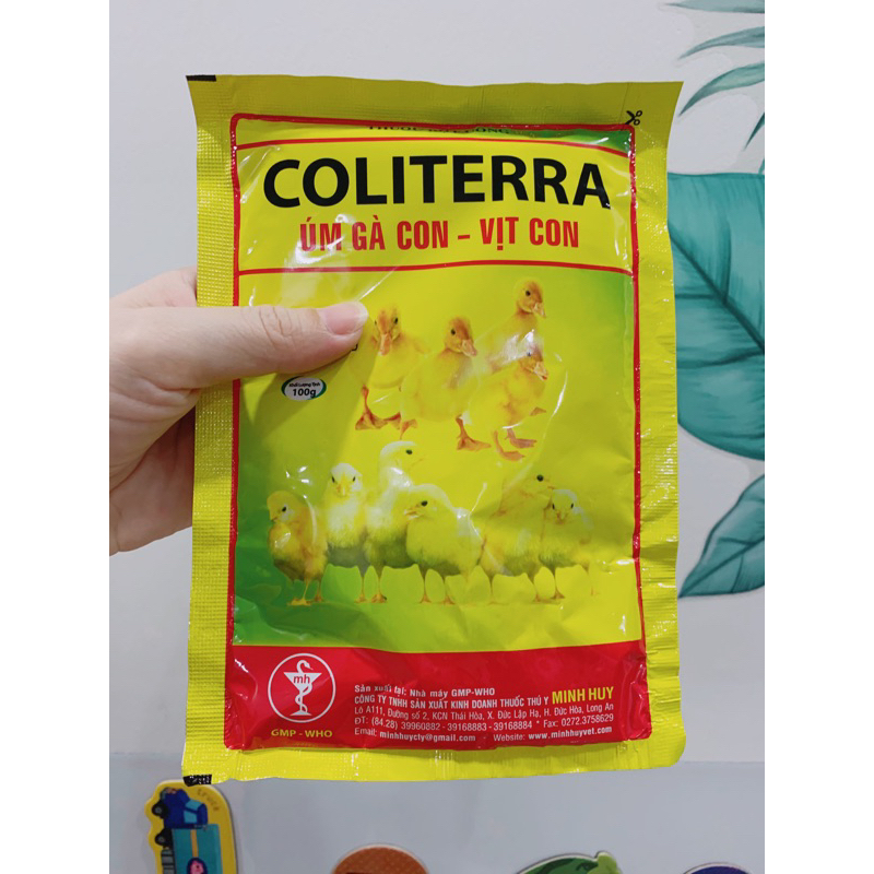 Úm gà vịt con Coliterra gói 100g