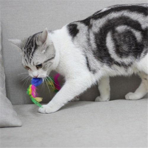 Chuột bông 🐹 cho mèo - Đồ chơi cho mèo - Tiệm Mèo Moa