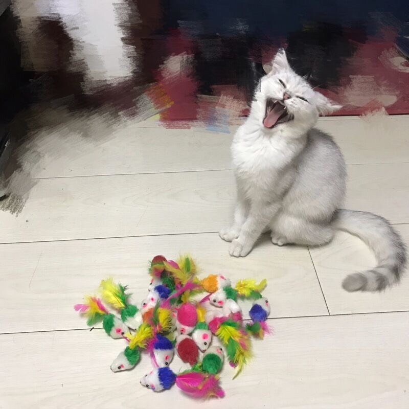 Chuột bông 🐹 cho mèo - Đồ chơi cho mèo - Tiệm Mèo Moa