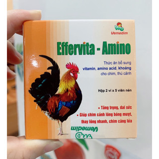 Effervita - Amino - BỔ SUNG DINH DƯỠNG CHO GÀ, CHÓ,MÈO