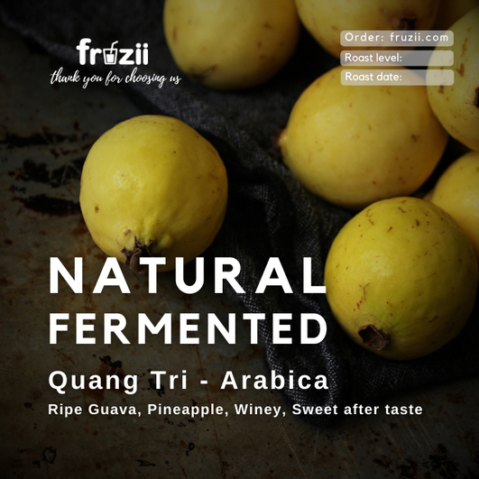 Cà phê Arabica Quảng Trị Natural rang light+