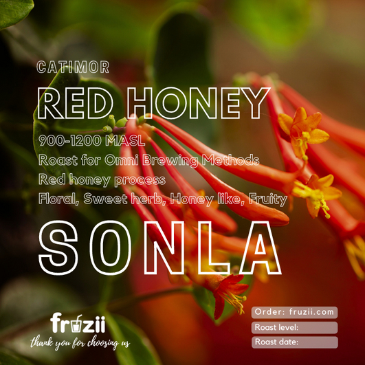 Cà phê Arabica Sơn La Red Honey rang light+