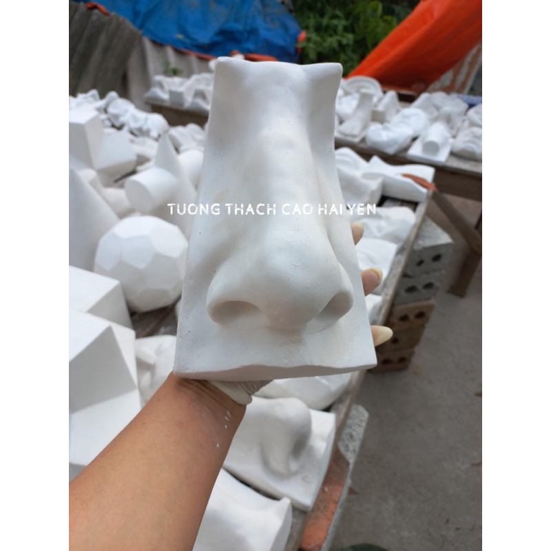 Khối Thạch Cao Hình Mũi