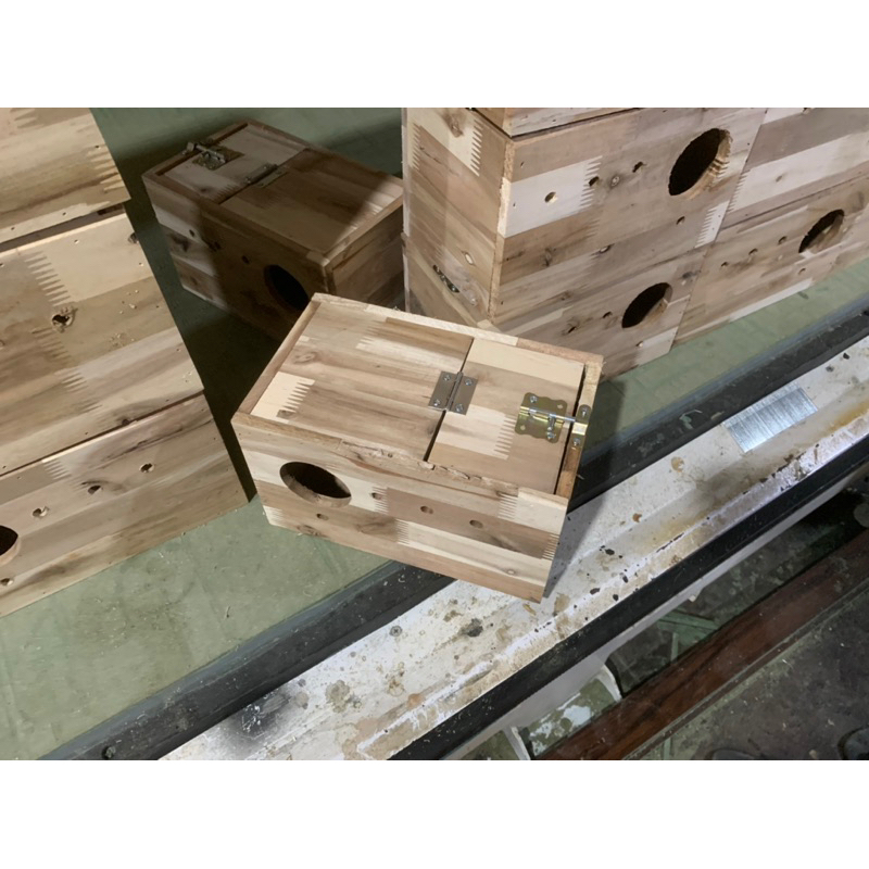 Tổ Yến Đẻ Yến Phụng 25x15x15 không khay,gỗ tràm ghép xuất khẩu US
