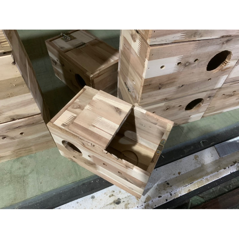 Tổ Yến Đẻ Yến Phụng 25x15x15 không khay,gỗ tràm ghép xuất khẩu US