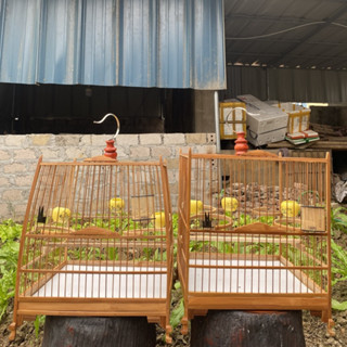 Khung lồng chim chào mào tự ráp lồng chim chào mào chất liệu trúc già khung chào mào lá đề