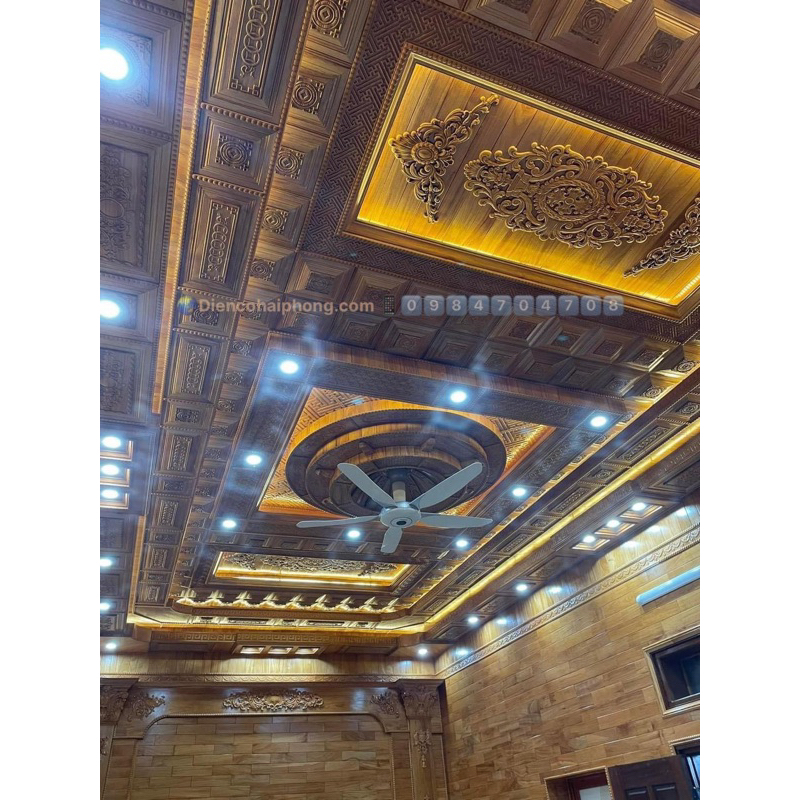 Quạt trần Panasonic F-60WWK