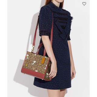 Túi Coach X Peanut tote