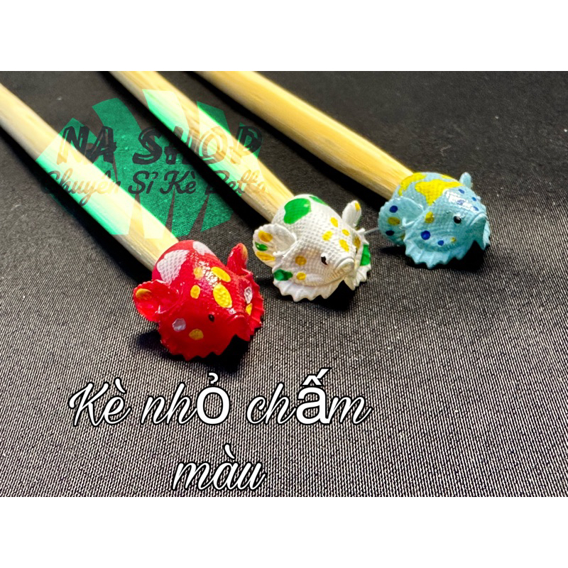 Cây Kè Cá Betta(Size Nhỏ) - Huấn Luyện, Giúp Cá Sung Khỏe Hơn (Giao Mẫu Ngẫu Nhiên)