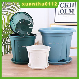 Chậu nhựa trồng hoa hồng cây cảnh hoa nhập Trung dày, dẻo sang trọng và hiện đại phong cách kèm đĩa trồng cây văn phòng