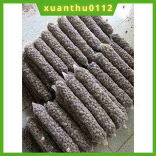 [10 túi] Phân dê bón cho lan, bón hoa hồng cho cây trồng đã xử lý- phân dê túi lưới dài 20cm