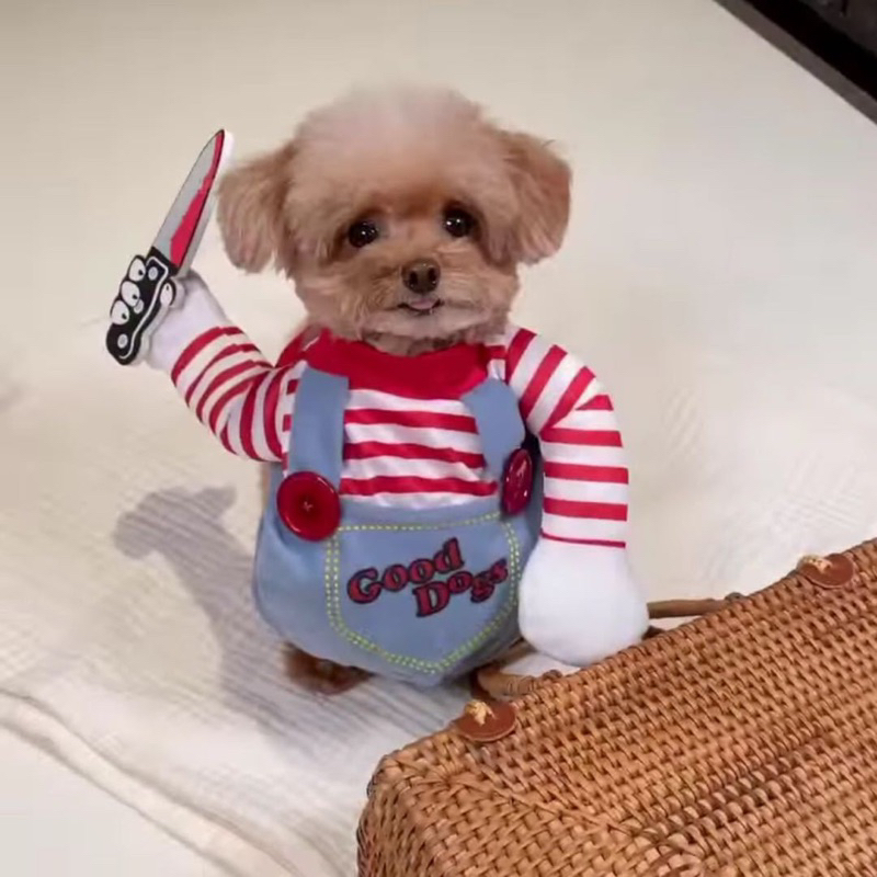 Áo cosplay cho thú cưng Nhà của Ú đáng yêu ngộ nghĩnh, áo hóa trang chó mèo, áo chó cầm dao