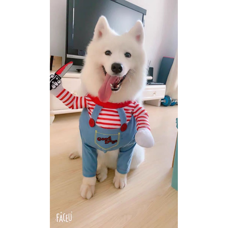 Áo cosplay cho thú cưng Nhà của Ú đáng yêu ngộ nghĩnh, áo hóa trang chó mèo, áo chó cầm dao