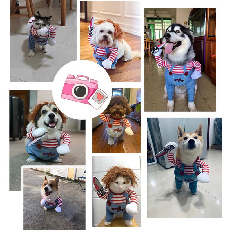 Áo cosplay cho thú cưng Nhà của Ú đáng yêu ngộ nghĩnh, áo hóa trang chó mèo, áo chó cầm dao