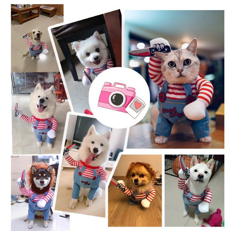 Áo cosplay cho thú cưng Nhà của Ú đáng yêu ngộ nghĩnh, áo hóa trang chó mèo, áo chó cầm dao