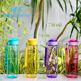 Bình nước Tupperware Lohas Flask 750ml