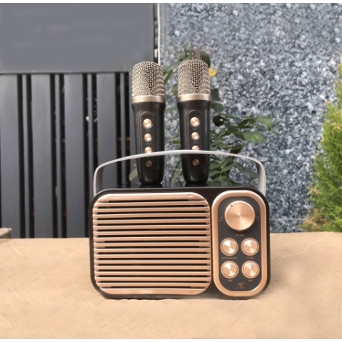 Loa karaoke YS-106 kèm 2 micro không dây