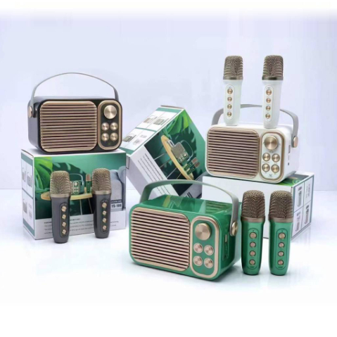 Loa karaoke YS-106 kèm 2 micro không dây
