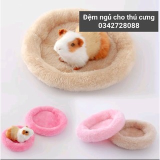 [ Có Bán Bọ ú ] Ổ NỆM NGỦ CHO BỌ Ú _ CHUỘT LANG ....