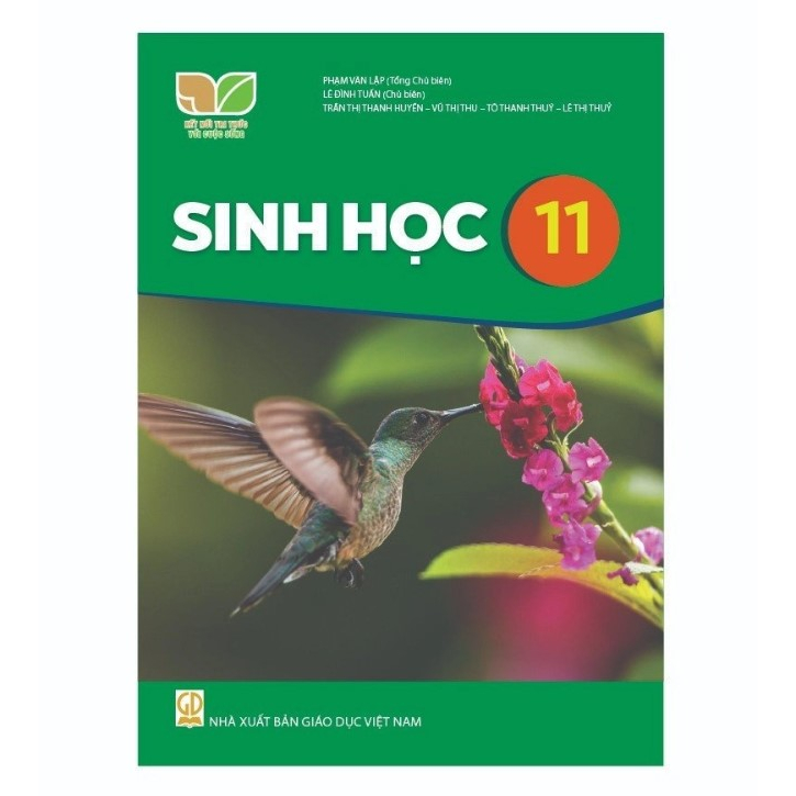 Sách giáo khoa lớp 11 - Kết nối