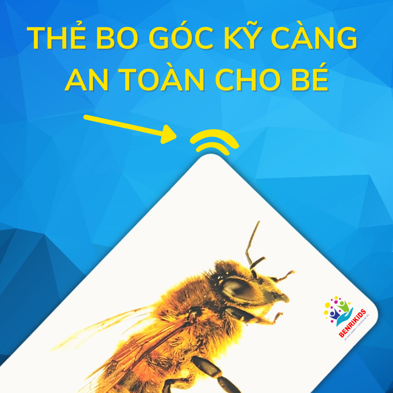 Bộ Thẻ Học Glenn Doman Kích Thước To A5 100 Chủ Đề Về Thế Giới Xung Quanh Giúp Trẻ Phát Triển Não Trái - Não Phải