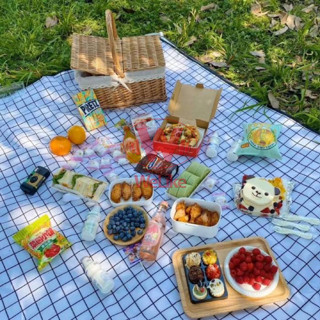 Thảm picnic gấp gọn Welike nhựa PVC caro thích hợp đi du lịch đi phượt chụp ảnh bạt trải cắm trại dã ngoại chống nước